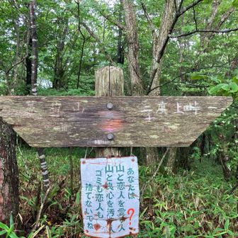 氷妻山🏔️
ゴミも恋人も捨てないでね？