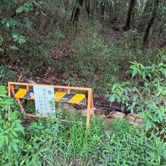 ピークとった判定はもらえるものの、おんか山には行けない
結構前からなのかな
ここまでの道も草ぼうぼう