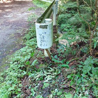 ツツジオ谷標識