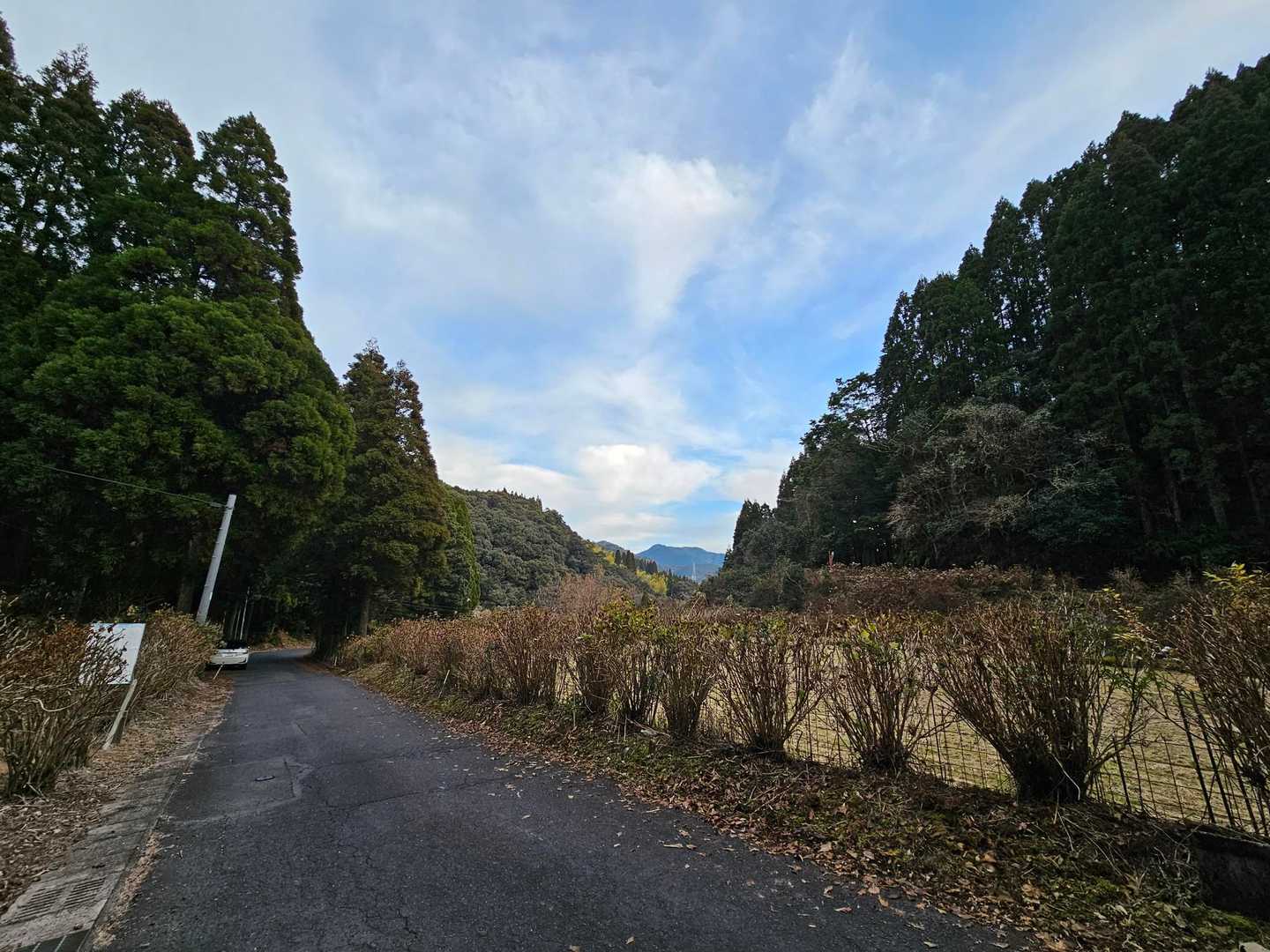 登山口に無事、到着～🙌🙌

ソロだと躊躇してしまう山も、2人だと安心感と心強さあり、難なく行けた上に、最高の景色😍
嬉しい楽しい一日となりました🤗

kiko-mamaさん、誘ってくれてありがとう😆💕
また行こうね～🤗