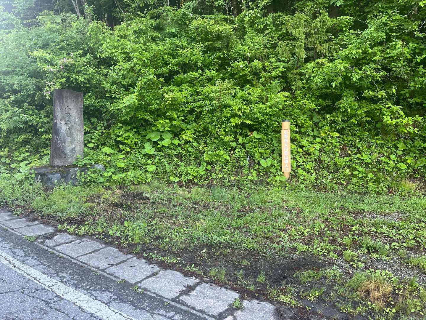下の駐車場から登山口までは少しロード歩き🐾
おっここが登山口だね🙂