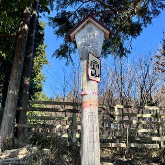 雨山山（549m）到着
三等三角点です
Takaちゃんさんのレポでずっと気になっていましたが、やっと来れました。