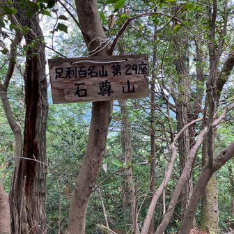 足利百名山　石尊山⛰️