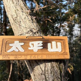 トウチャケ　この山名板　2025.12.26日に作った出来立てほやほや　そう言われれば見れば見るほど12月26日チックな山名板です。　