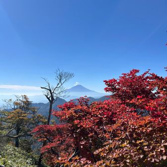 綺麗です