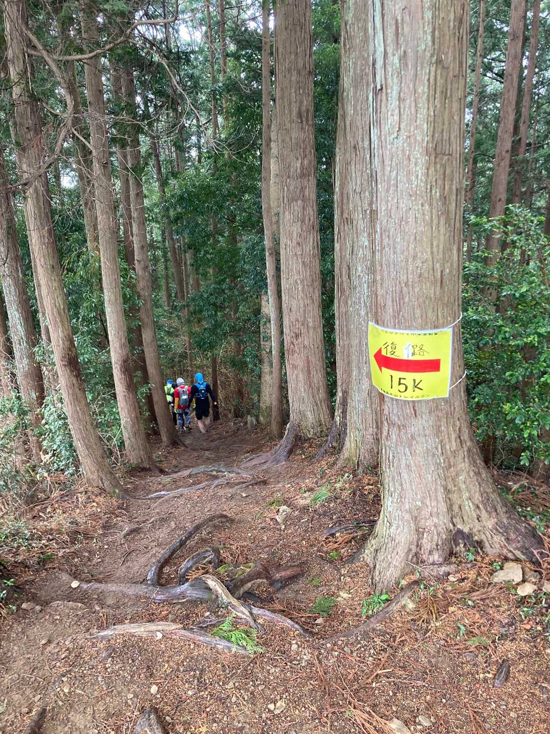 矢倉台-三方山 往復コースの写真