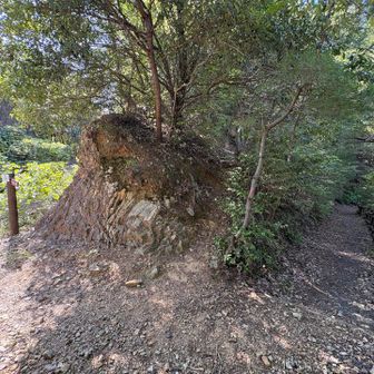 中央の細い尾根道を登る。