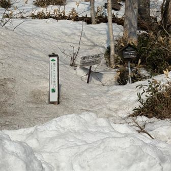 ペトウトル3山ぐるりん達成🙌
なかなかハードだったけど雪が溶ける前にぐるりんできて良かった😊