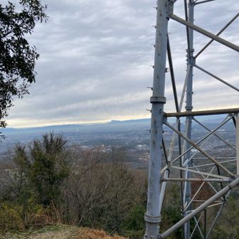 鉄塔
ヤマガラがいました♪