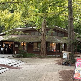 腹が減り、結局森林植物園へ入園。
ヌケ谷を歩いて結局森林植物園へ入園するムダさ。
これも年間パス持っているから出来ることです。
