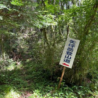 さあ、ここから登ります。