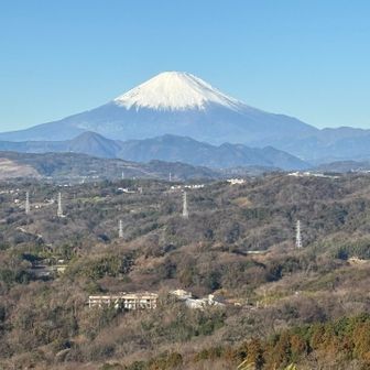 矢倉岳や金時山でこれくらい見えたら嬉しいのだが、いつもタイミングが悪い