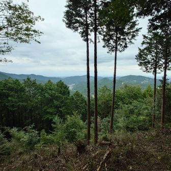 大築城跡からの眺望。
何とかゴールできそう