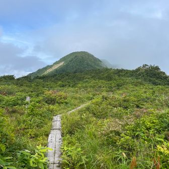 ここは、時期ならお花畑らしい