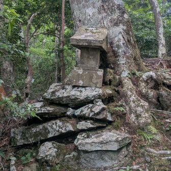 山ノ神、下りも中盤