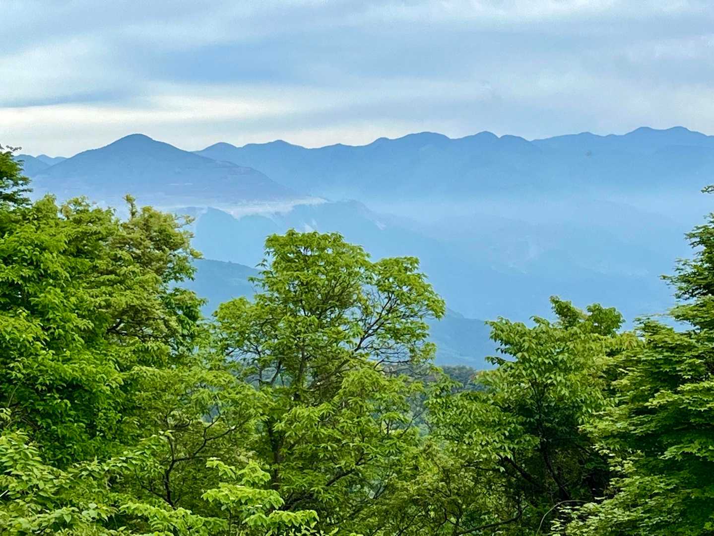 山頂からの眺め。スッキリしないお天気だけど、それなりに山は見え。
武甲山、良いな。