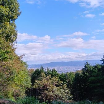 狭い視野ですが北東方向の展望が望めました👀