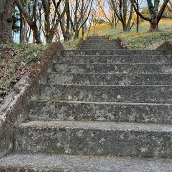 階段が一つずつ大きくて　よいしょ！
ええ。足が短くて大変😅です。