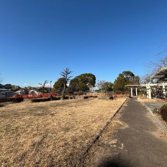 広場のベンチではご近所の方々が各々のんびりと寛いでおられました