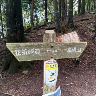 アラキ峠