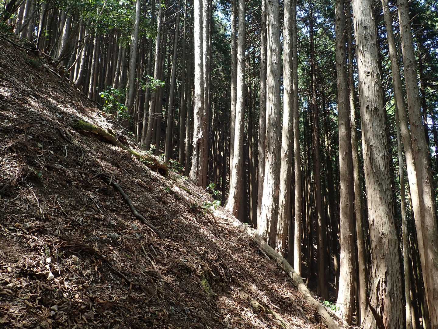 45°の坂！！
