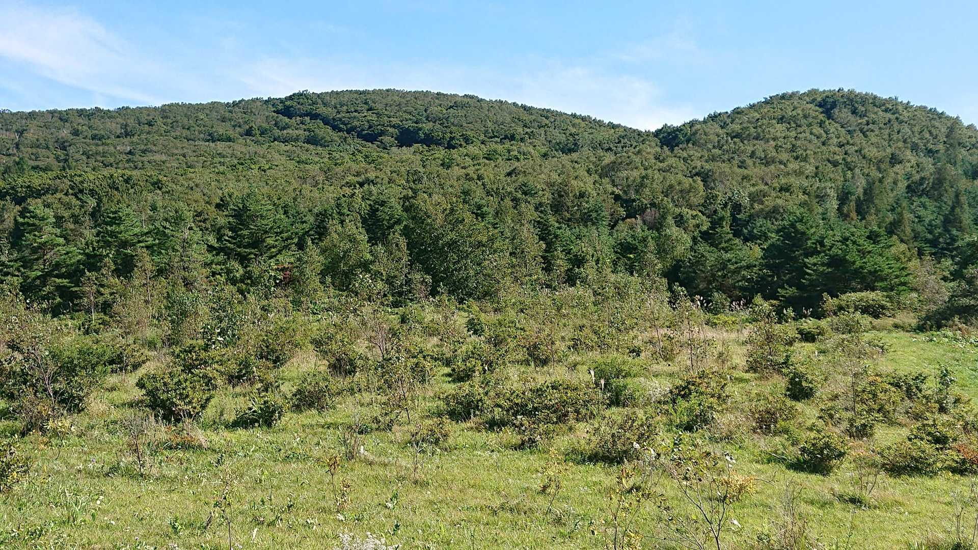 平庭峠-平庭岳 往復コースの写真