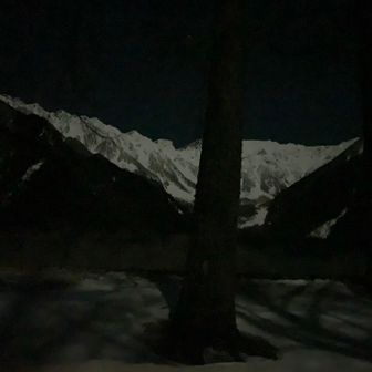 寒いのでテントの中から。木が邪魔。