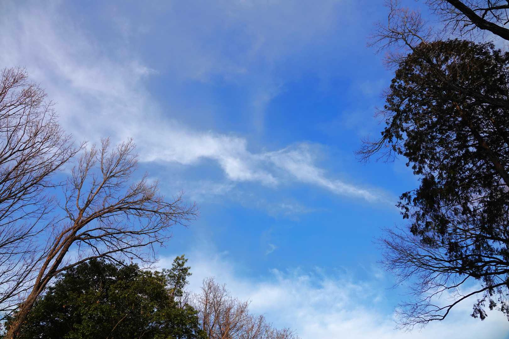 今日は１日ぽかぽかいい天気でした🤗

でも三寒四温で寒の戻りがあるようです
体調管理に気をつけなければ…ですね😄
