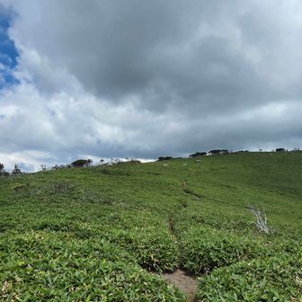 ここを登りきれば頂上⋯！