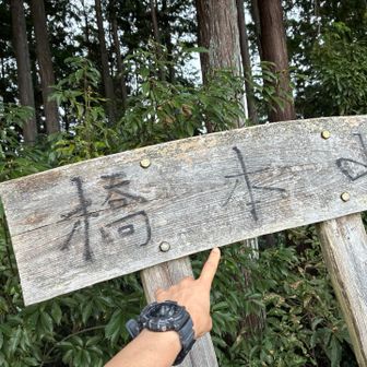 こちらも久しぶりの橋本山
一時期伐採されて景色が良かったんだけど…