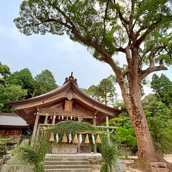 今日はちょっと上に駐車しましたが、竈門神社までは下りてきました
輪っかありました🙆‍♂️
駐車場までアブかハチか何かに追いかけられながら戻りました😭🐝