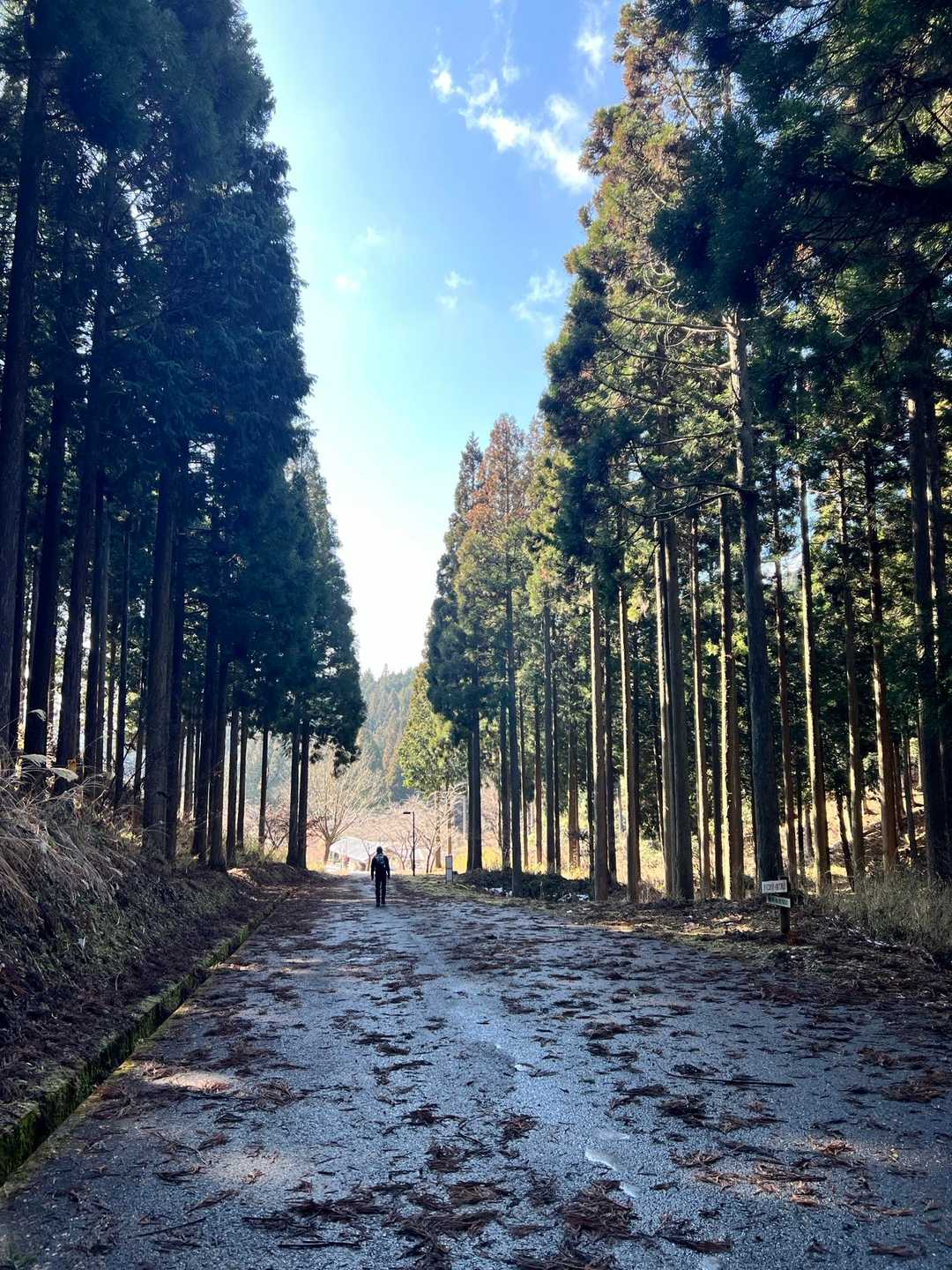登山口までの林道はカチカチ