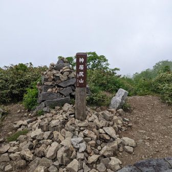 蠅など虫がとても多かったです😅