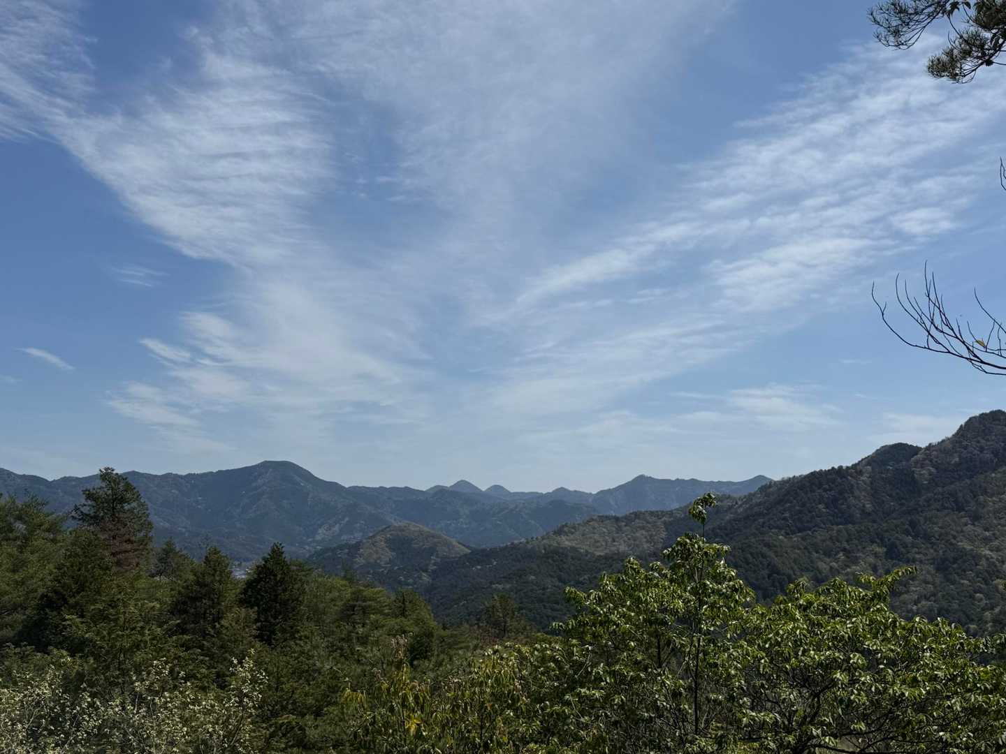 正面に三尾山🤩