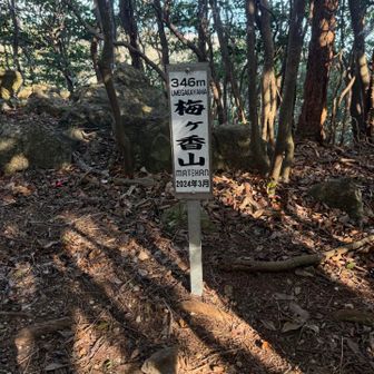 またまたすぐに

梅ヶ香山⛰️
346m

こちらも私たちが登ったあとでランドマークになりました😊
ひでふみさん、できました〜😆