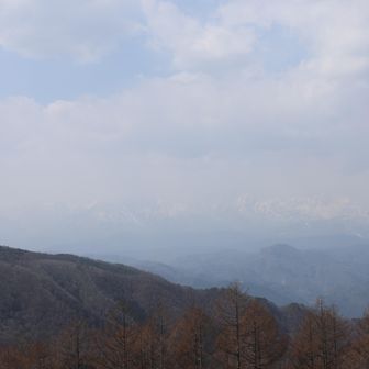 こんな感じでした🥴
今日はダメだね…