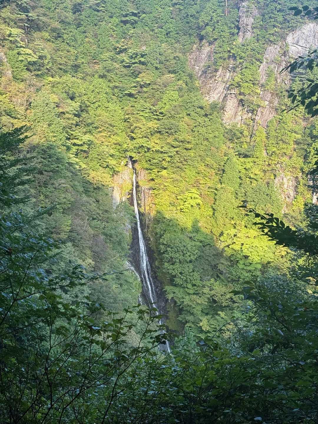 土居登山口-峨蔵越-二ッ岳 往復コースの写真