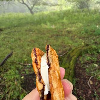 クリームチーズ１／２個をオールレーズン２枚で挟む　コーヒー飲みたい