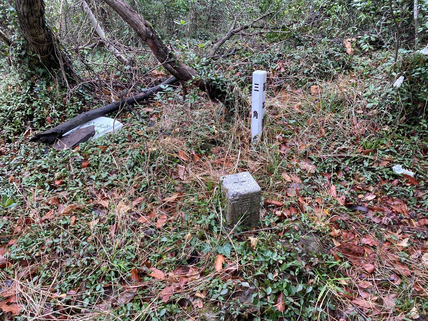 雌山の四等三角点(164.52m)に到着です。
こちらも古墳(狼煙台跡？)の上にあります。