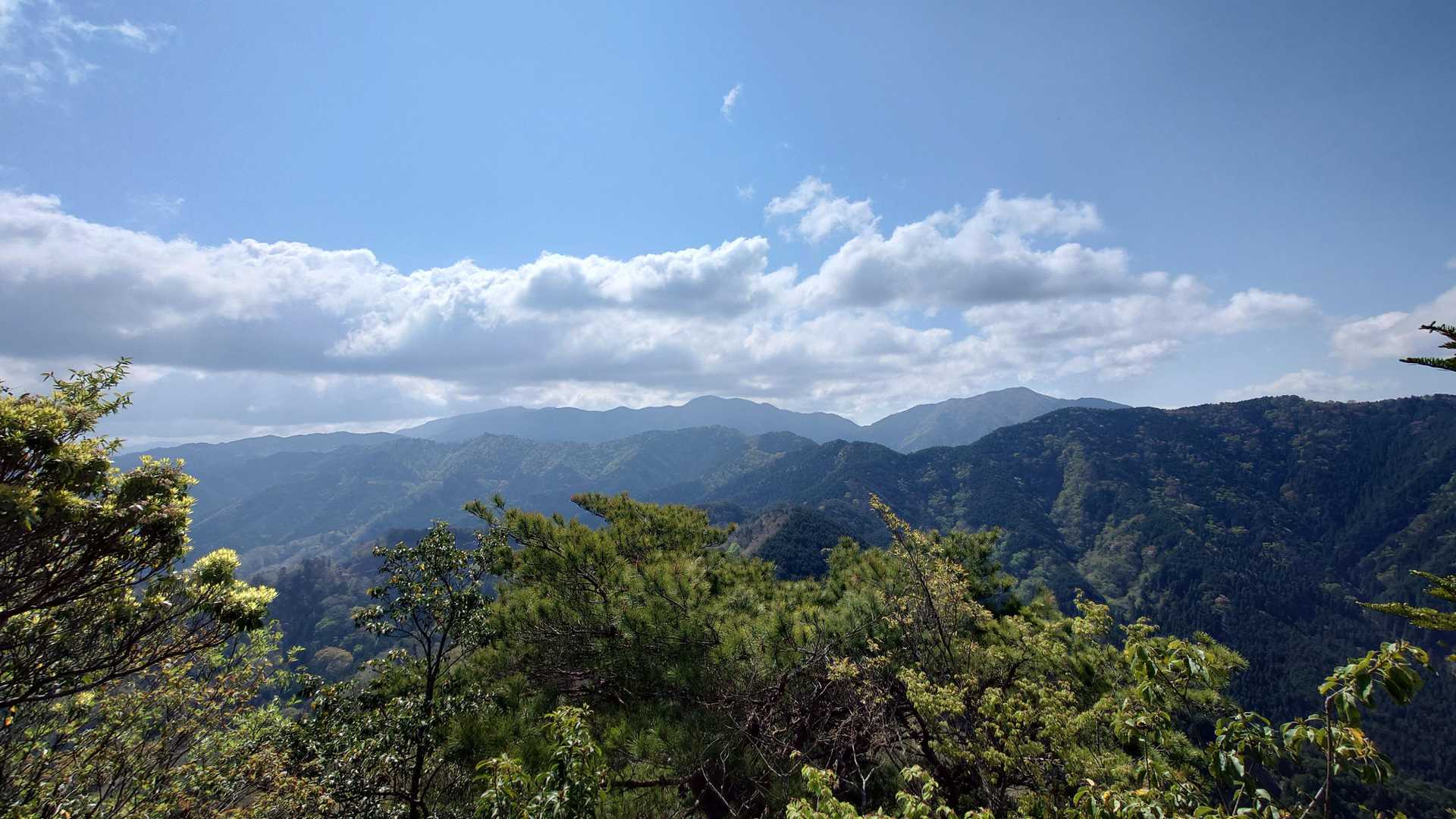 そしてみんな大好き、