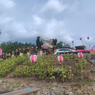 石巻温泉にて謎のお祭り開催中。夜店やってるぽい。そんなことより…トイレがあったので駆け込む🏃‍➡️