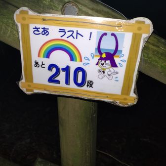 「頑張れー❗️」って自分に言い聞かせる✊