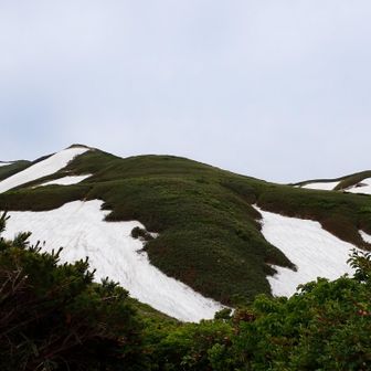 丸森峰からはパーッと開けて森林限界越え❗️
残雪が沢山👍