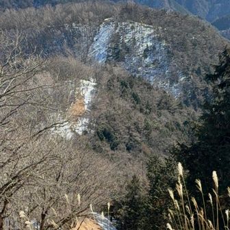 蕎麦粒山から稜線歩き
ココからken さんにチェンスパ片方借ります
川苔山が奥に見えます