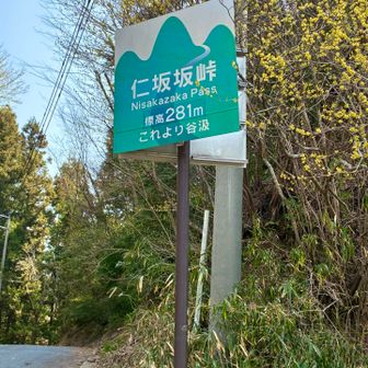 仁坂坂峠