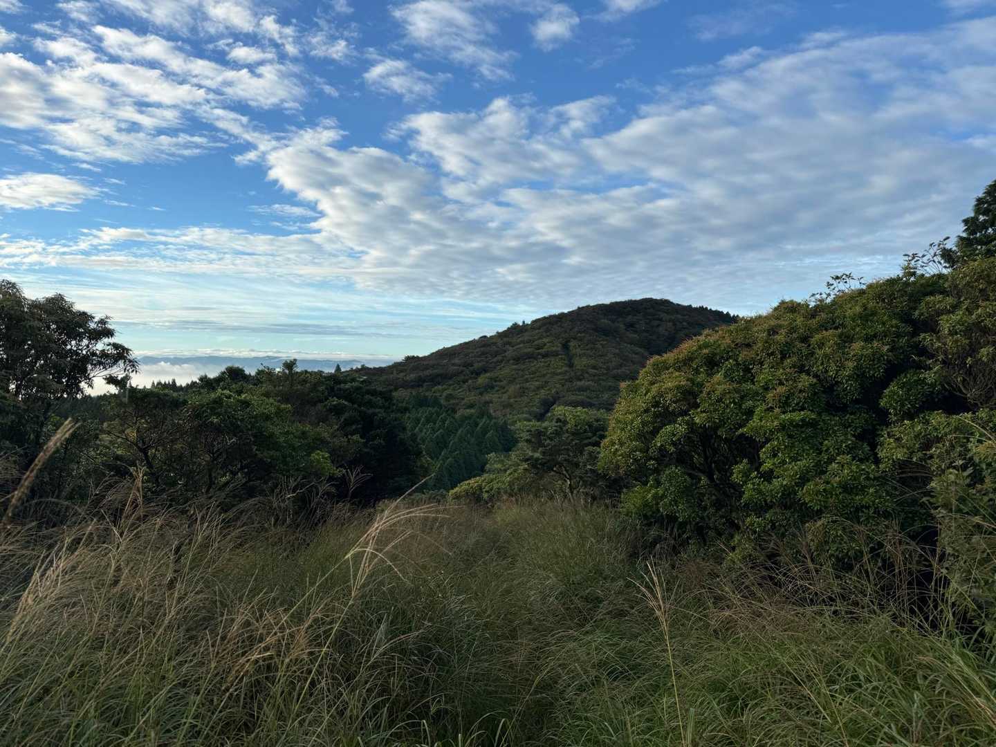 ツームシを振り返って。