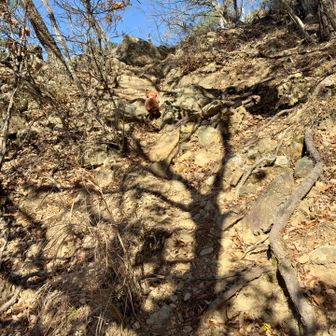 散歩してた時代より
サクサクな序盤