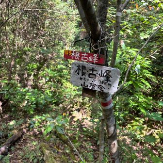 寄り道したが…