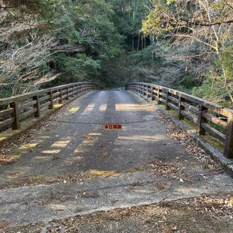 普段は行けるのか？  日曜日やぞ