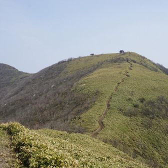 最後の山小屋までの道を歩き切るのが勿体無くなってきました。

これを登ったら、後はもう下りるだけになっちゃいます🥲